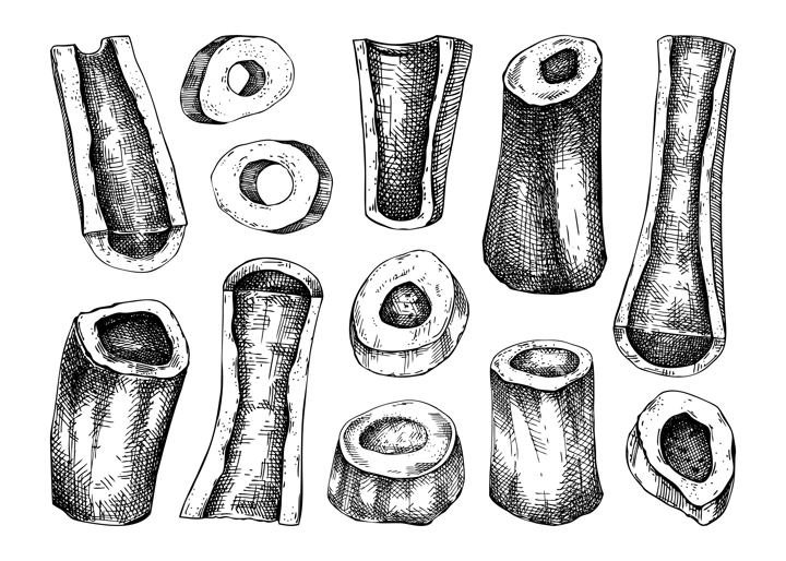 Big marrowbone with meat sketches set. Raw bones isolated on white background. Hand drawn healthy food illustration for butchery, recipes, menu in vintage style. 